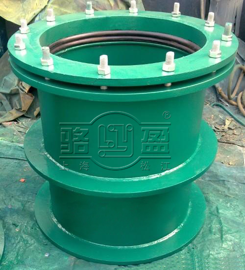 上海骆盈生产的防水套管