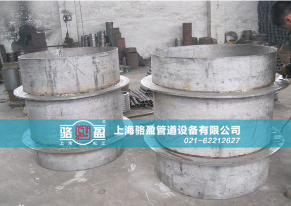 骆盈双翼环<a href=http://www.www.luoying68.com target=_blank class=infotextkey>防水套管</a>